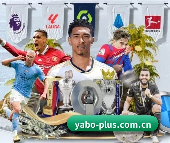 亚博体育官网 APP